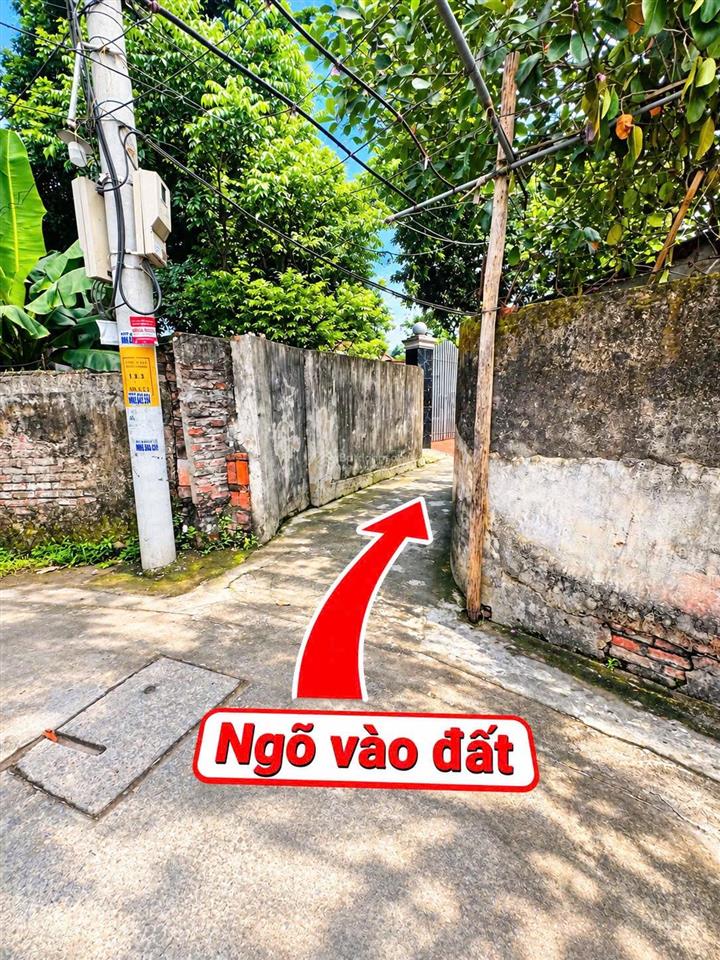 Đất bán gấp tại đỗ xá, 1,28 tỷ, 42,5 m2, mặt tiền 7,16m