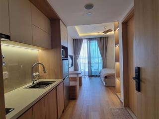 Cho thuê căn hộ view sông, pháo hoa, tầng cao, mới 100%