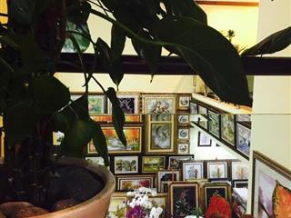 Hàng hot! bán căn shophouse hoàng anh river view, phường an phú. 2 tầng 240m2. giá tốt