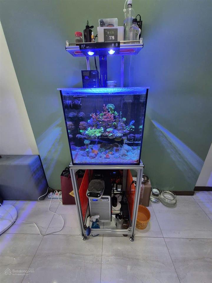 Bán căn hộ 2pn, 2wc, 64m2 chung cư him lam phú an, giá siêu hời 4,45 tỷ