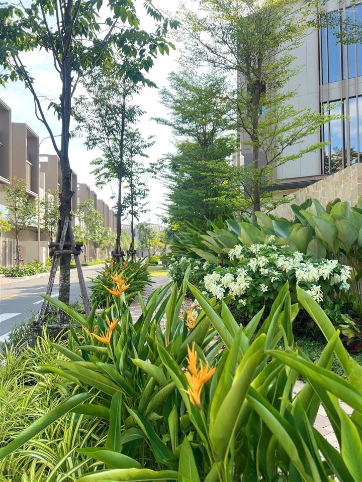 Bán gấp nhà phố the orchard đối diện hồ bơi. 90m2 đất. giá 10,8 tỷ