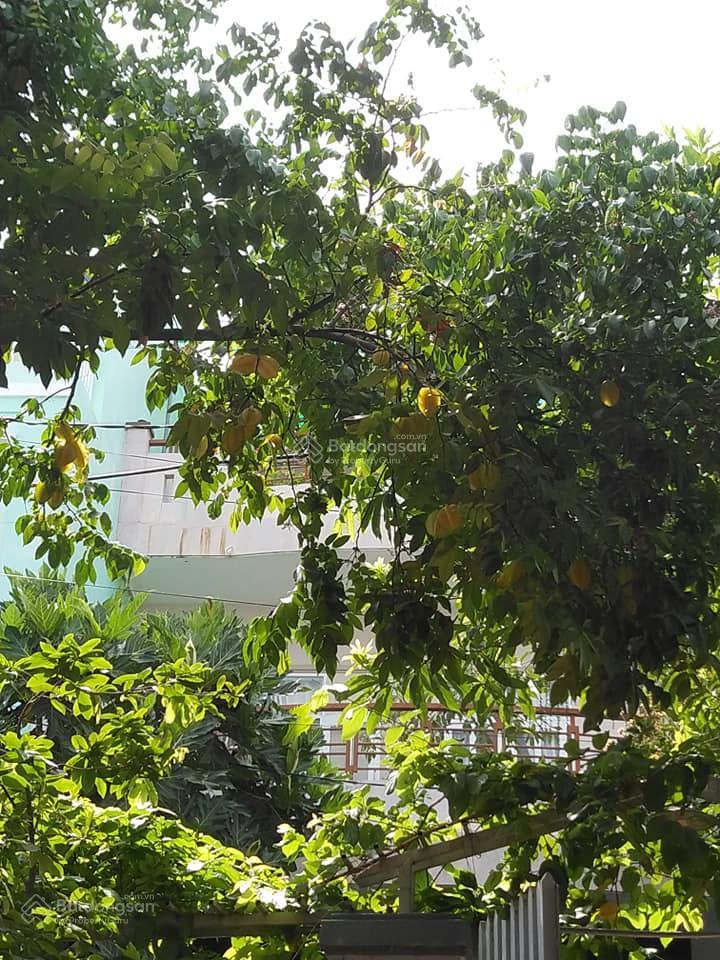 Chuyển gia đình về bắc cần bán nhà tâm huyết ở nha trang