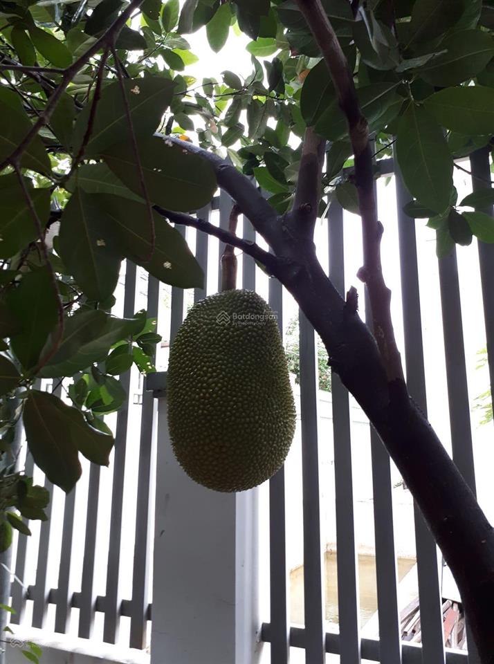 Chuyển gia đình về bắc cần bán nhà tâm huyết ở nha trang