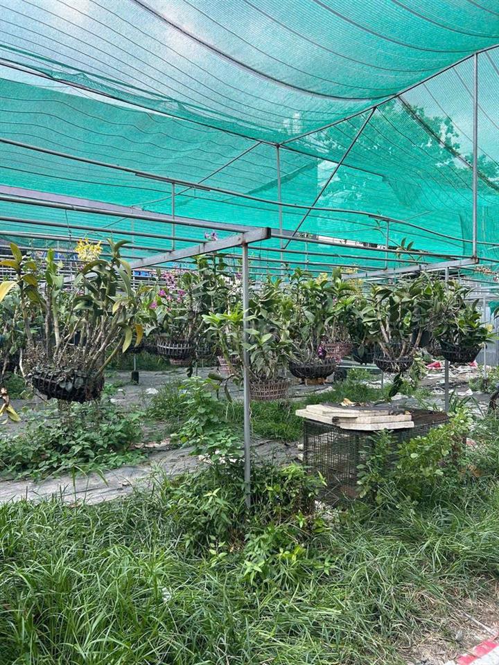 BÁN ĐẤT 2 MẶT TIỀN ĐƯỜNG DƯƠNG CÔNG KHI – DIỆN TÍCH LỚN – TIỀM NĂNG KHAI THÁC CAO