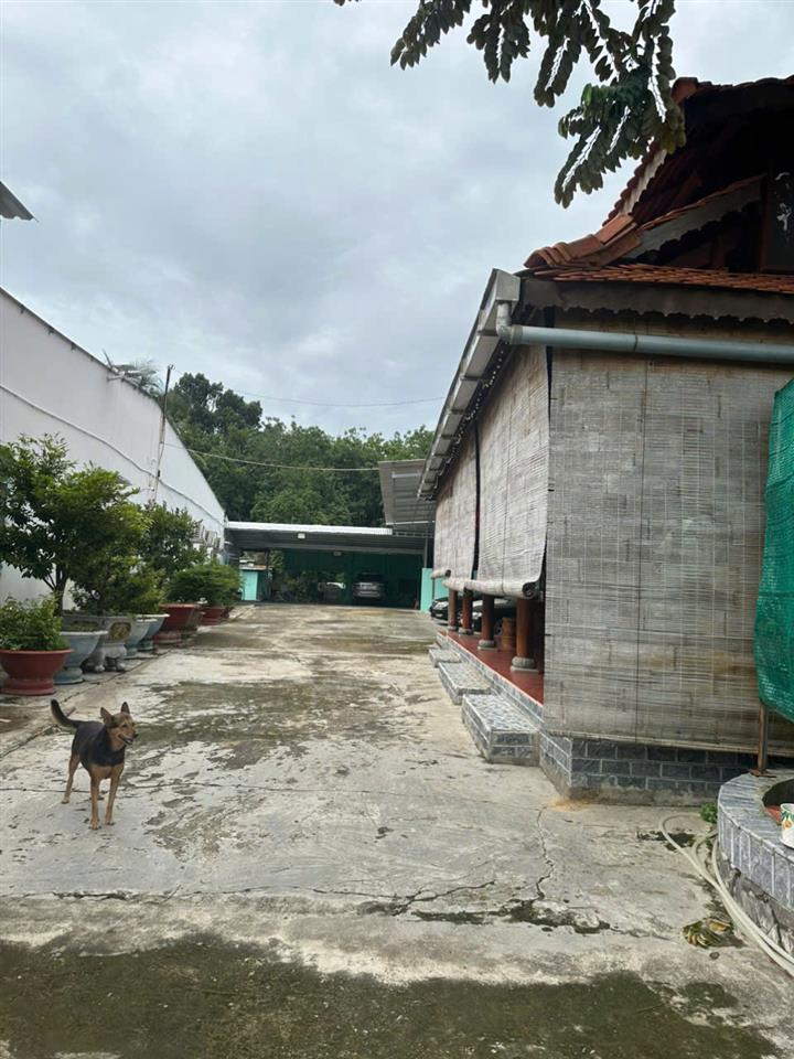 BÁN NHÀ ĐẤT – DIỆN TÍCH RỘNG, TIỀM NĂNG ĐẦU TƯ