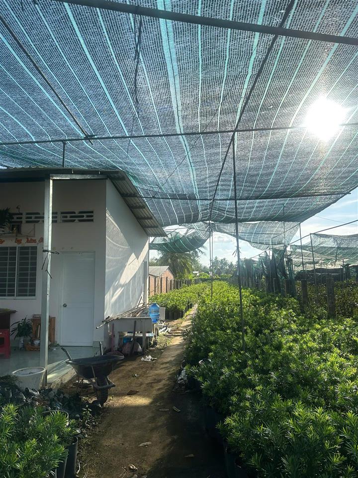 BÁN GẤP 631M² MẶT TIỀN QUỐC LỘ 57 – VỊ TRÍ ĐẸP, GIÁ CHỈ 2,8 TỶ