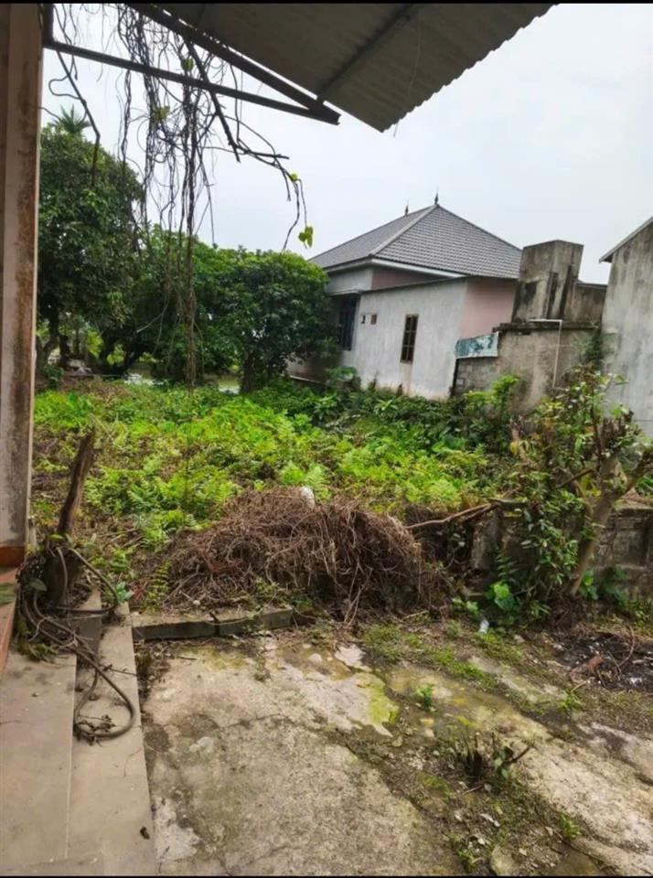 CHÍNH CHỦ BÁN ĐẤT 385M² TẶNG NHÀ – GIÁ CHỈ 1 TỶ 850 TRIỆU