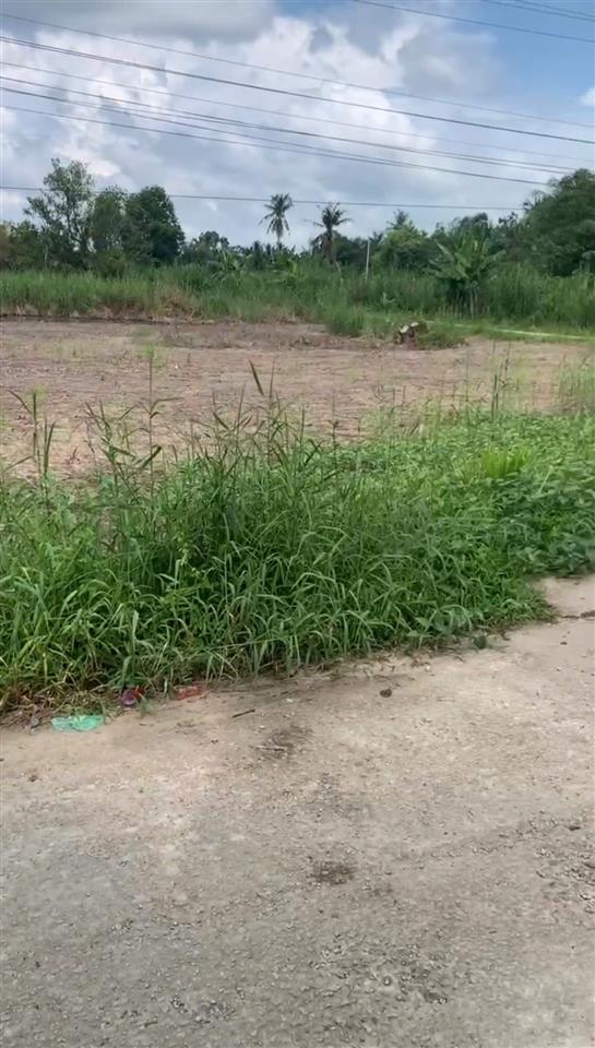 BÁN ĐẤT NỀN 2 MẶT TIỀN GẦN CỐNG RẠCH NHUM – XÃ KHÁNH BÌNH, CÀ MAU