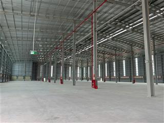 Đà nẵng cho thuê kho logistics 9.000m² kho mới kiên cố cao 12m 9 dock xuất nhập hàng