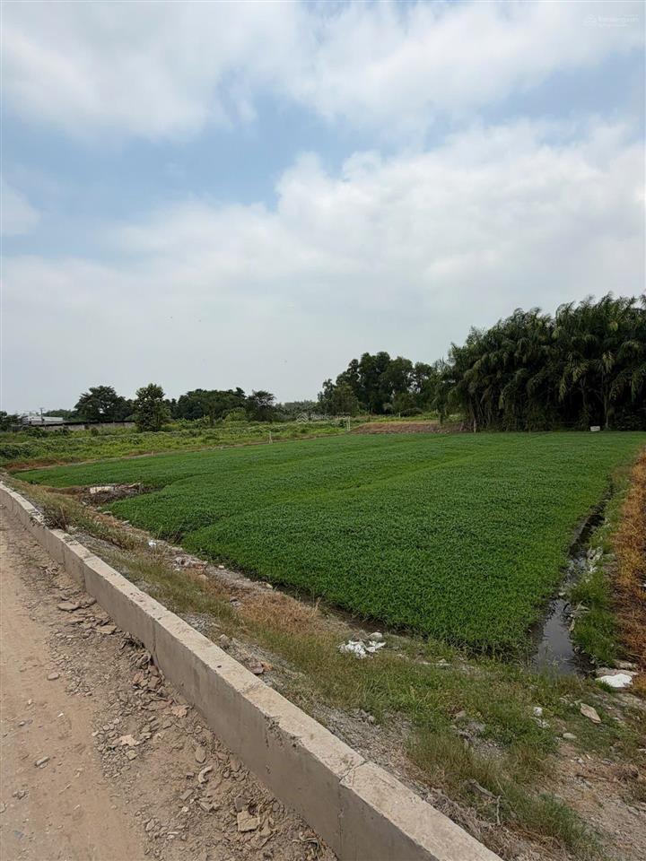 Chủ gửi bán gấp lô đất mt đường nhị bình 5, dt 1615m2 giá 6tr/m2 còn thương lượng