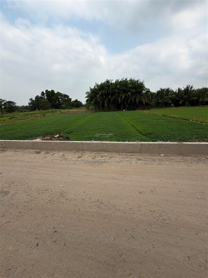 Chủ gửi bán gấp lô đất mt đường nhị bình 5, dt 1615m2 giá 6tr/m2 còn thương lượng