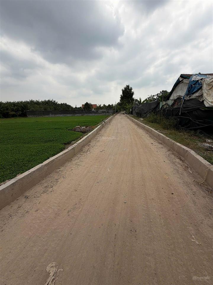 Chủ gửi bán gấp lô đất mt đường nhị bình 5, dt 1615m2 giá 6tr/m2 còn thương lượng