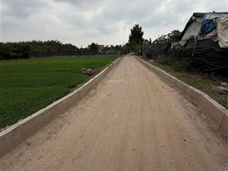 Chủ gửi bán gấp lô đất mt đường nhị bình 5, dt 1615m2 giá 6tr/m2 còn thương lượng