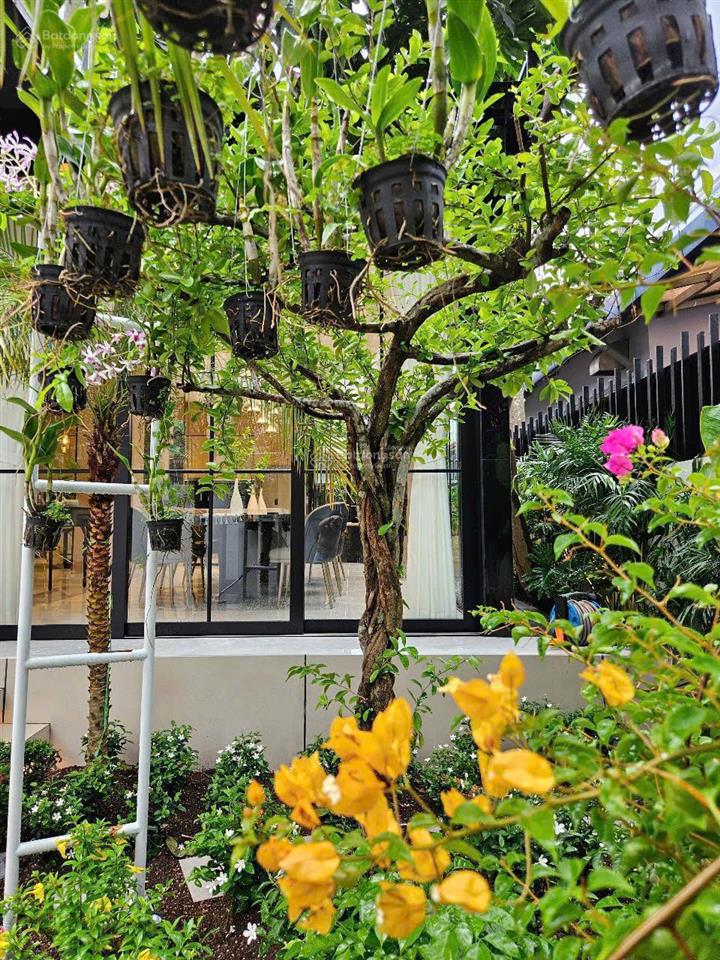 Cho thuê biệt thự cảnh đồi góc phú mỹ hưng  5pn, có thang máy, sân vườn rộng