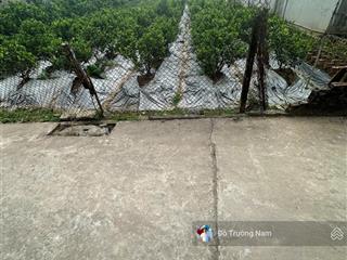 Chính chủ gửi bán lô đất 142m2, full thổ cư, đường 4m tại hoàng trạch, mễ sở.giá 2x tr/m 0967 635 ***