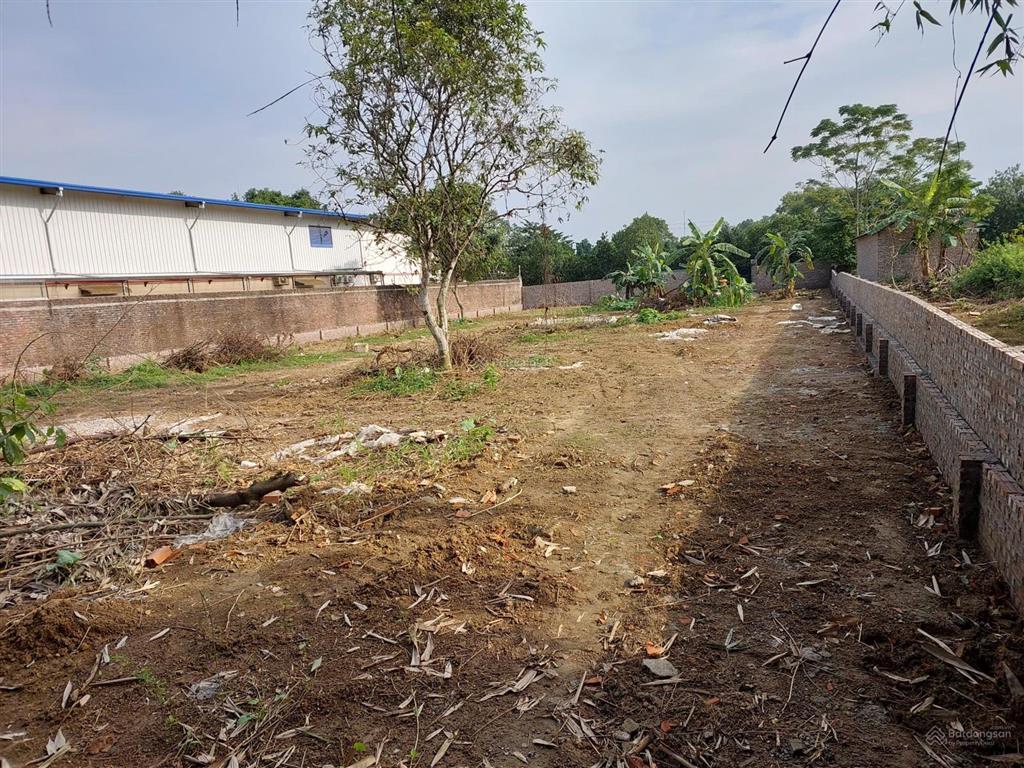 Cho thuê đất dt 1.438,7m2 đường rộng 6m tại xã yên xuân, hà nội
