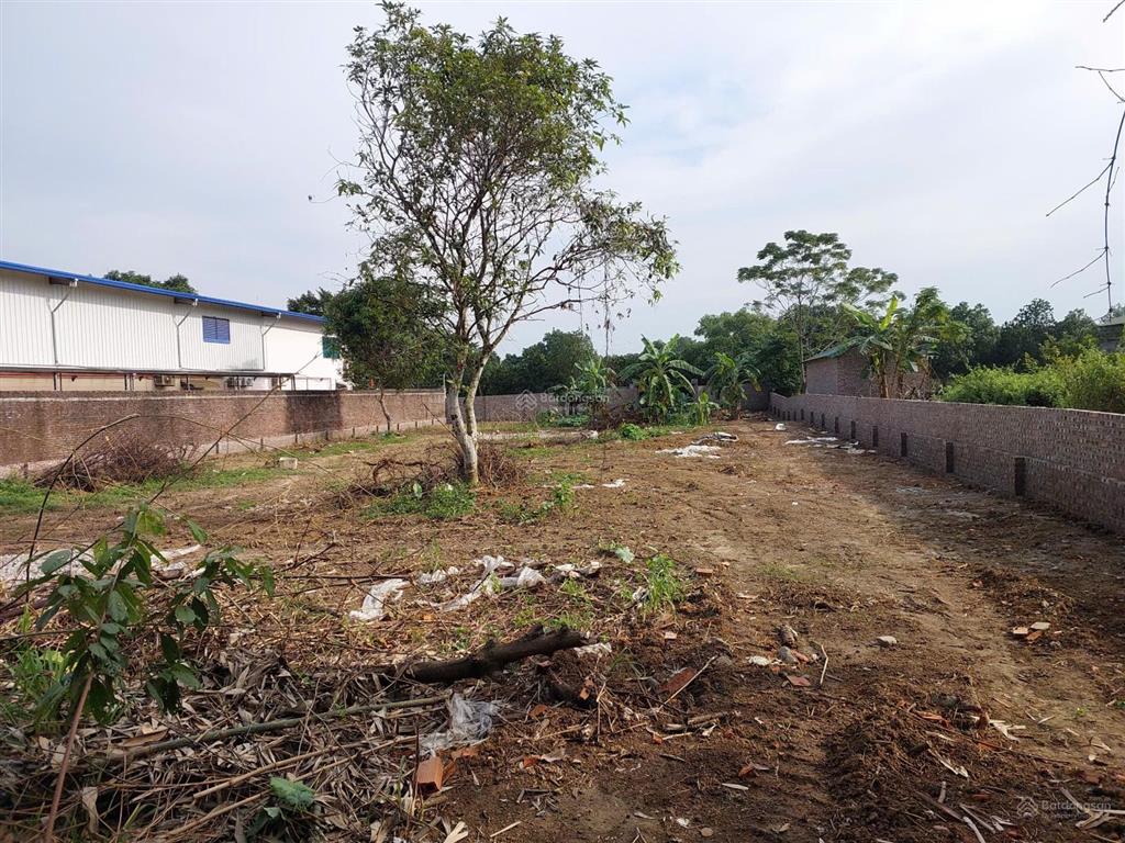 Cho thuê đất dt 1.438,7m2 đường rộng 6m tại xã yên xuân, hà nội
