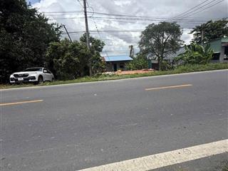 Bán đất diện tích 36.000m2 mặt tiền quốc lộ n2  đồng tháp