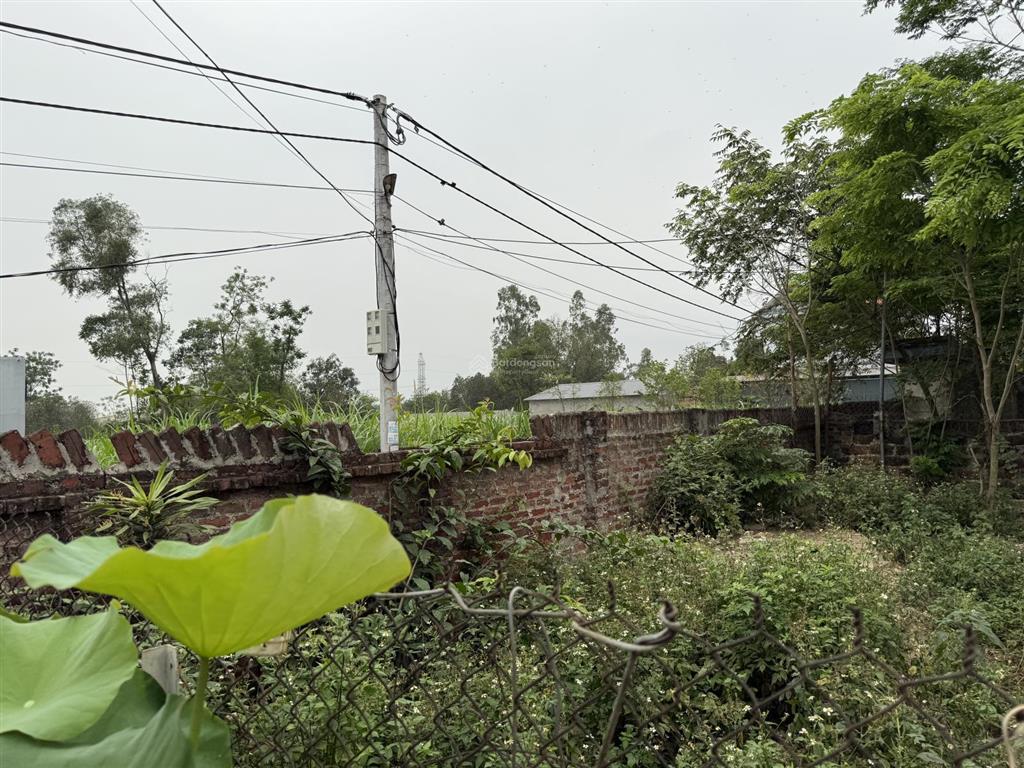 Đất chính chủ vuông vắn vị trí cực đẹp đường rộng ô tô to vào đất luôn