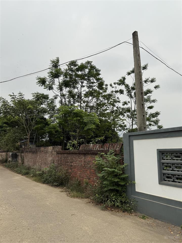 Đất chính chủ vuông vắn vị trí cực đẹp đường rộng ô tô to vào đất luôn