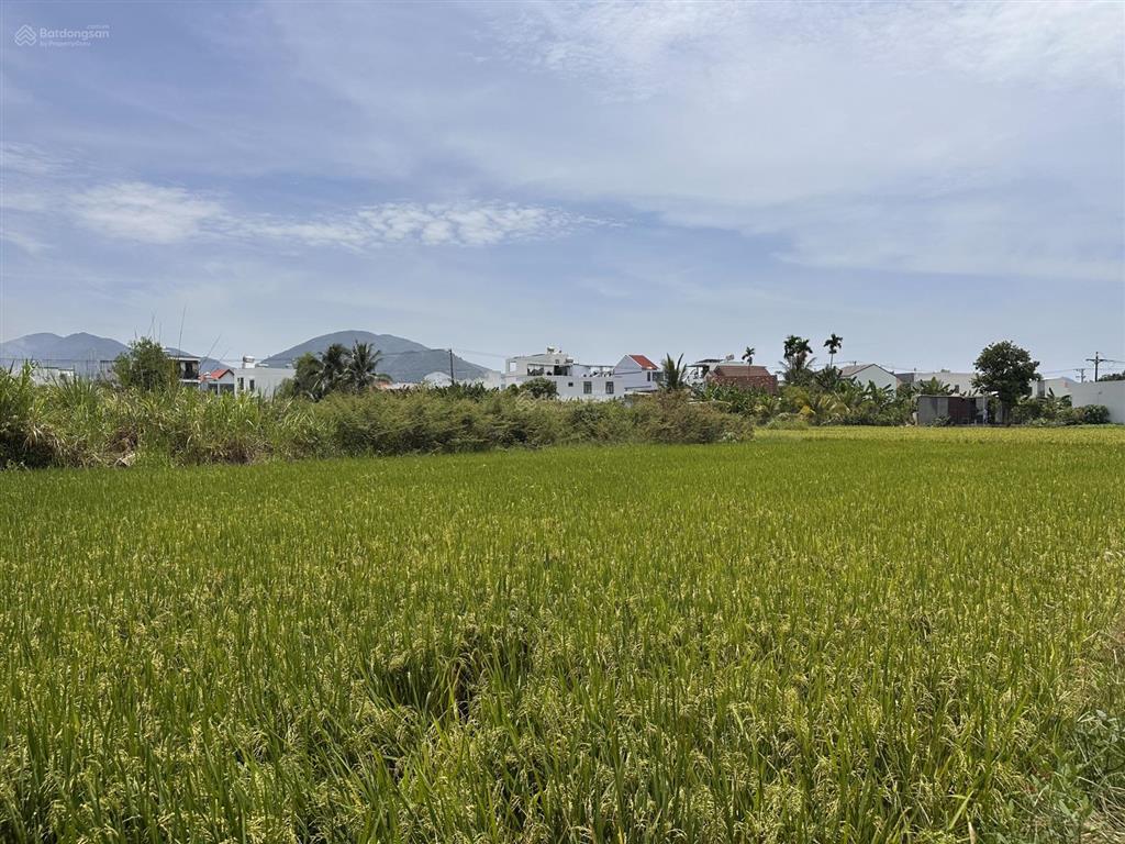 Bán nhanh lô đất diên an phú ân nam 3.