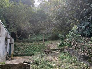 Farmstay trung minh 8.600m² có 400m² thổ cư cách hà nội 1 giờ