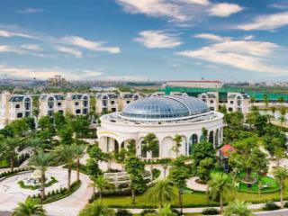 Mức giá cực hiếm tại đảo dừa 56m2, hoàn thiện 5 tầng chỉ 8,25 tỷ bao phí!