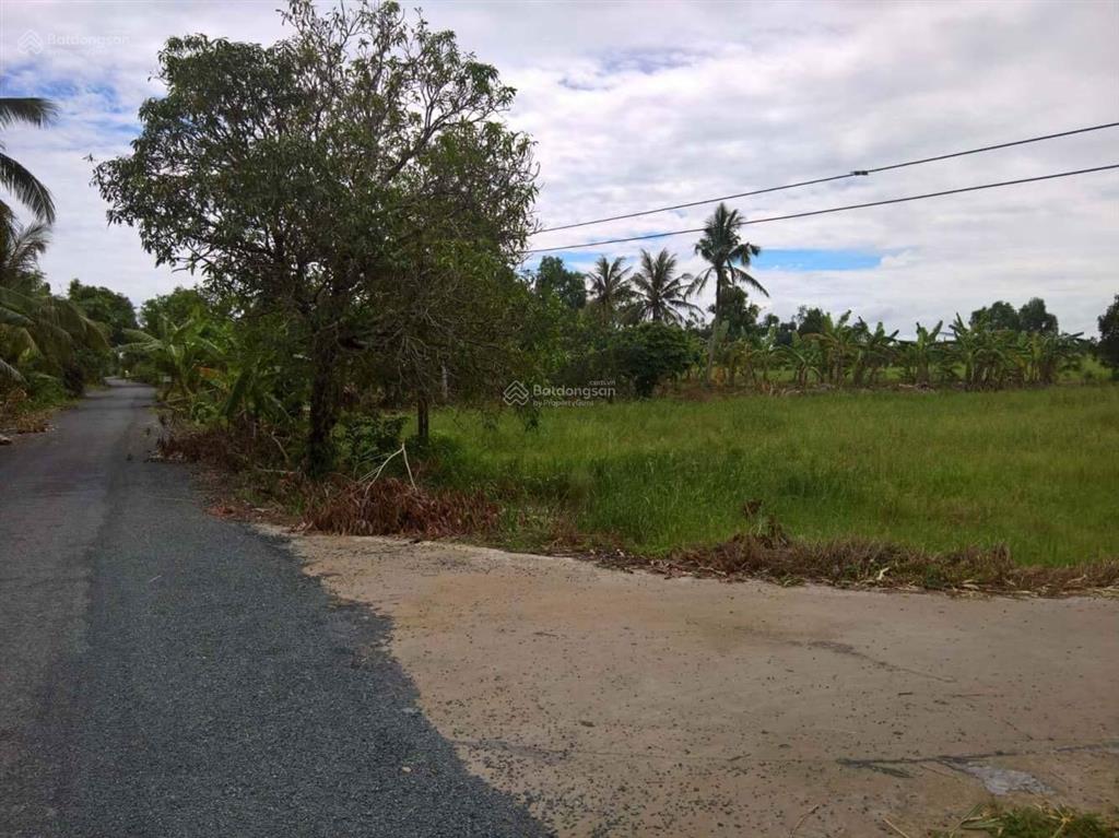 Bán đất tại thị trấn vĩnh viễn, huyện long mỹ, hậu giang, 1,9 tỷ, 2700 m2, uy tín giá siêu hời