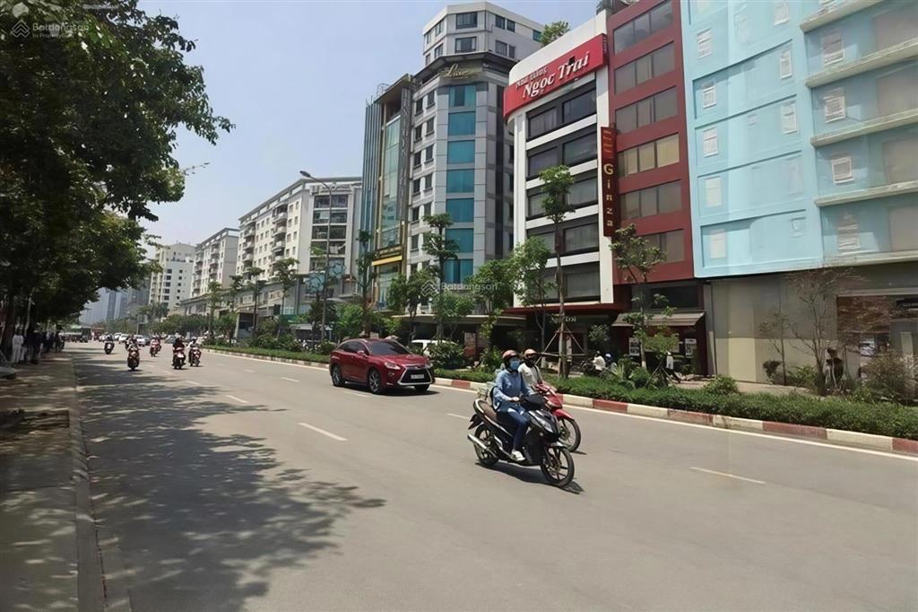 Bán nhà ngõ 44 trần thái tông 48.8m2*5t, mt 6m, 8pn, ở&kinh doanh giá 10.5 tỷ