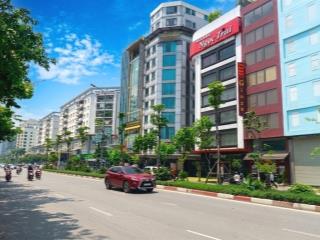 Bán nhà ngõ 44 trần thái tông 55m2*6t thang máy, 3 mặt thoáng, 70m ra phố giá 10 tỷ 8 (tl)