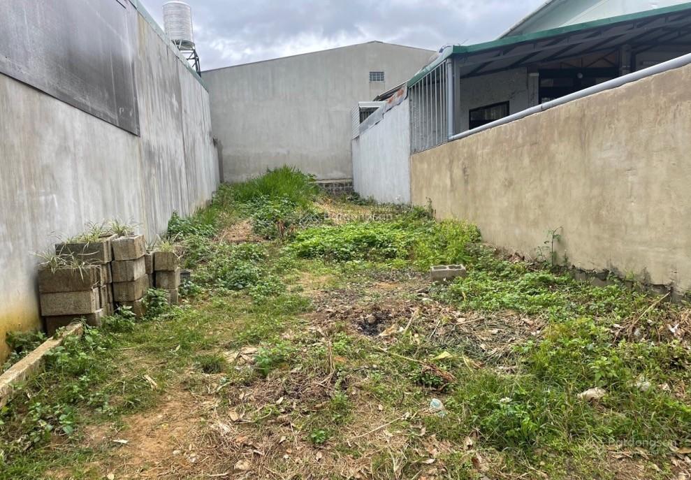 Cần bán đất vườn cln diện tích lớn  giá tốt