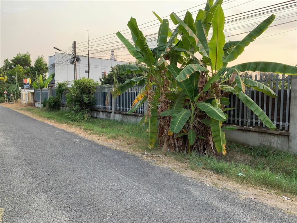 Bán đất tại đường số 15 trần phú, 6 tỷ, 1490 m2, giá tốt, chính chủ