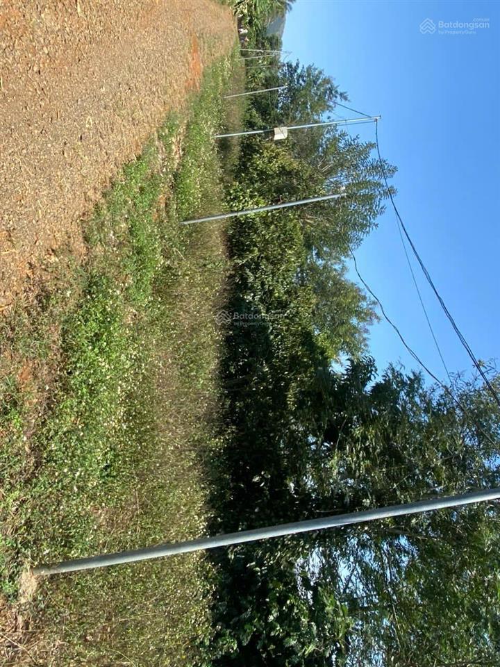 Bán đất 4500m2 thổ cư mặt đường liên xã hòa ninh, lâm đồng