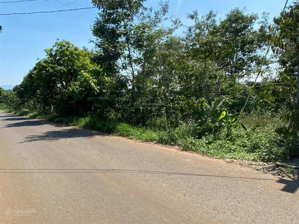 Bán đất 4500m2 thổ cư mặt đường liên xã hòa ninh, lâm đồng