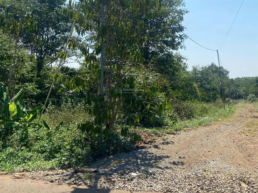 Bán đất 4500m2 thổ cư mặt đường liên xã hòa ninh, lâm đồng