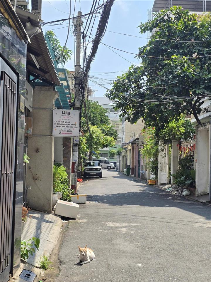 Bán nhà đường bàu bàng p.tân bình, dt đất 97m2 (3,5x28m), có 5pn+ 3wc, đang cho thuê giá, 12,750 tỷ