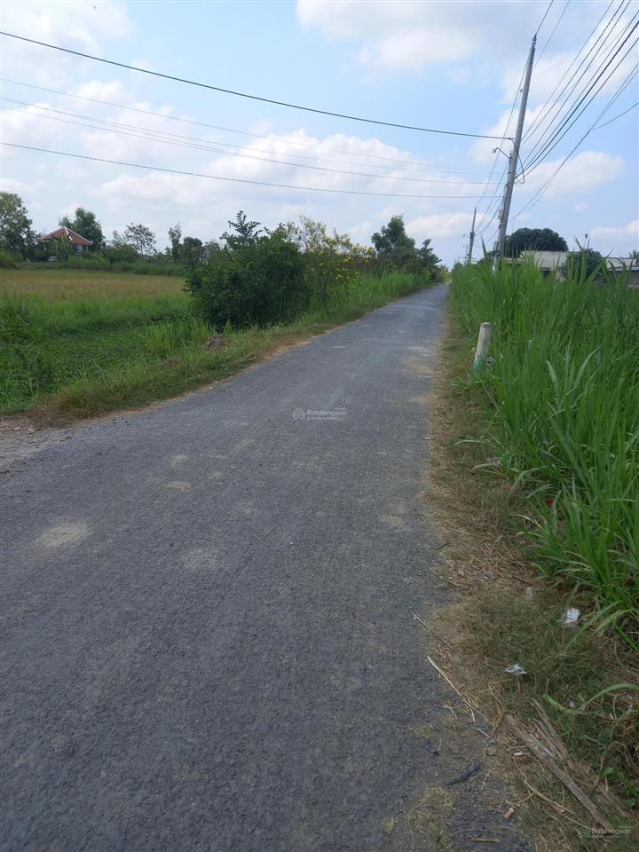 Vườn trồng trọt vườn gần khu dân cư