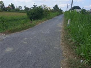 Vườn trồng trọt vườn gần khu dân cư