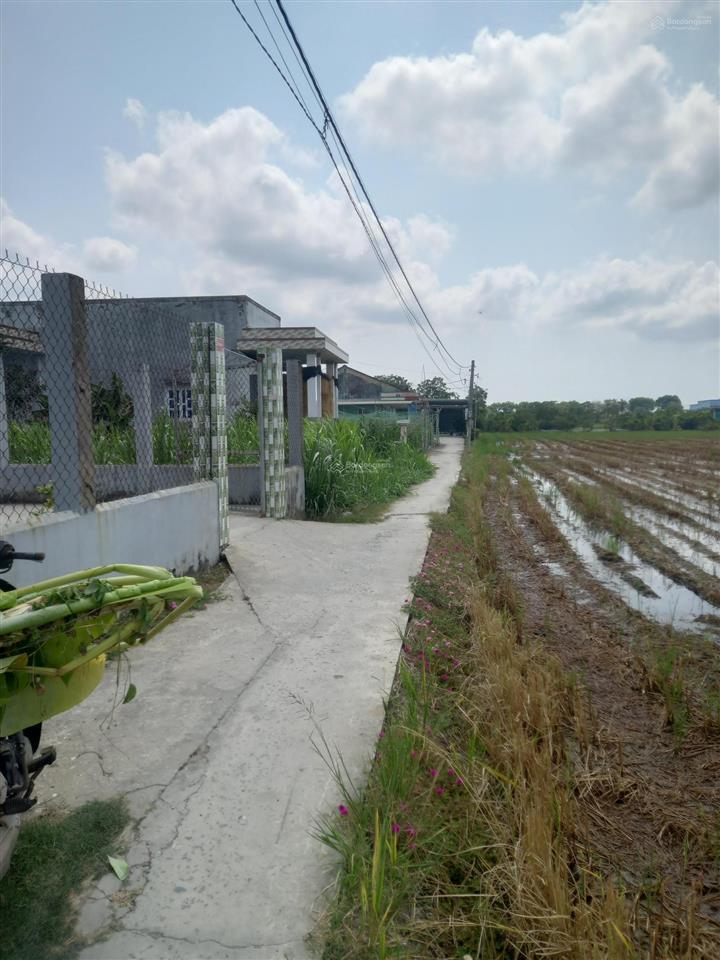 Vườn trồng trọt vườn gần khu dân cư