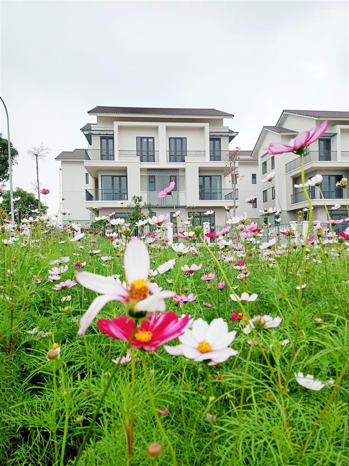 Chính chủ cần tiền bán gấp căn biệt thự song lập tại centa riverside, rẻ hơn thị trường 1 tỷ.