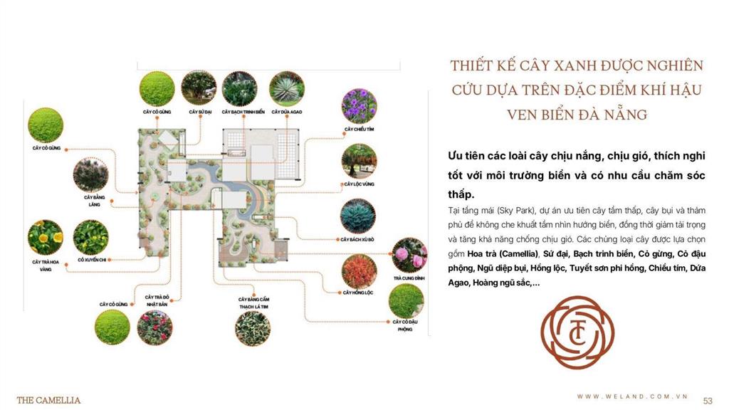 1 tỷ 59 đã sở hữu 2 pn view biển  camellia view biển mỹ khê đà nẵng quý 2/2028 nhận nhà