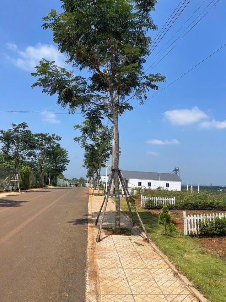  🌄 ĐẦU TƯ ĐẤT VEN ĐÀ LẠT – ĐÓN ĐẦU XU HƯỚNG NGHỈ DƯỠNG