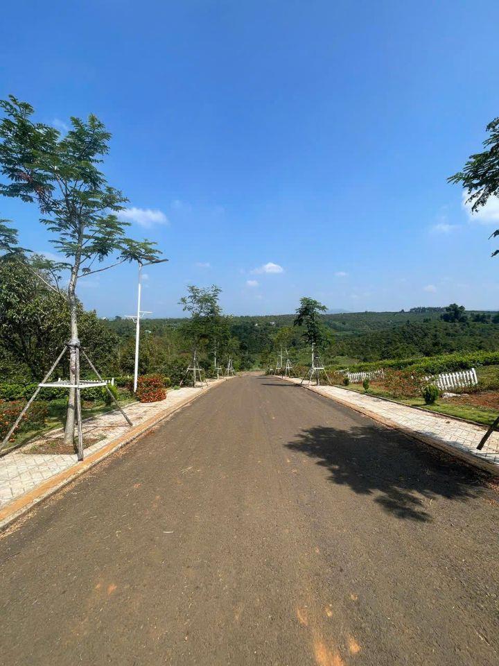  🌄 ĐẦU TƯ ĐẤT VEN ĐÀ LẠT – ĐÓN ĐẦU XU HƯỚNG NGHỈ DƯỠNG