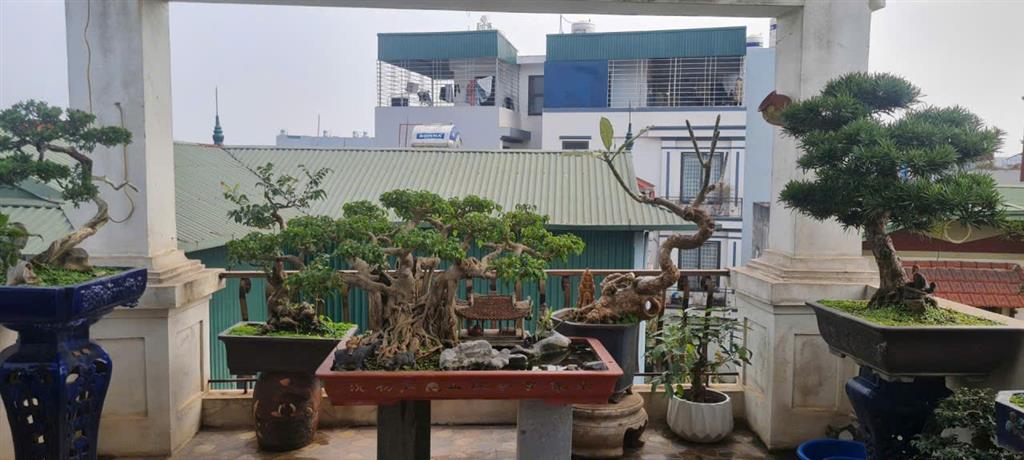 🏡 BÁN NHÀ PHÚC LỢI – NGÕ Ô TÔ THÔNG – 62M² x 4 TẦNG – THANG MÁY – FULL NỘI THẤT 🏡