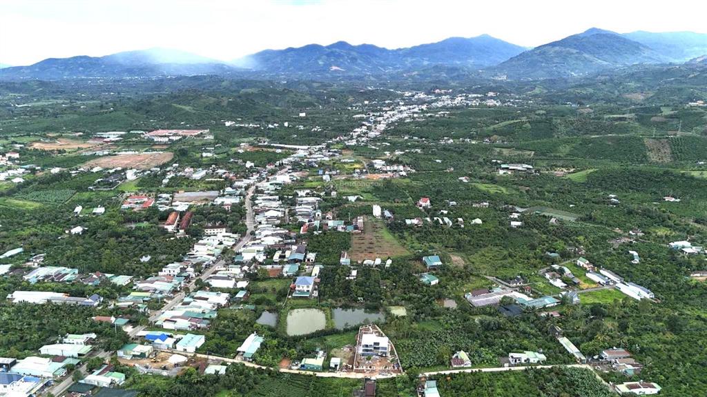 Ra nhanh lô đất khu dân cư gần tttp bảo lộc, dt 667m2 có 200m2 thổ cư phù hợp xây nghỉ dưỡng