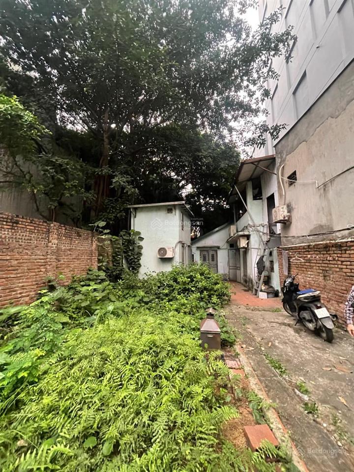 Siêu phẩm đất vàng hoàng mai  ô tô vào đất mặt tiền khủng  kinh doanh đỉnh  vị trí đẹp