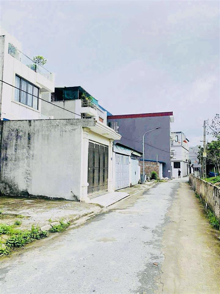 Bán đất tái định cư phân lô vĩnh khê, an đồng, phường an hải, tp hải phòng