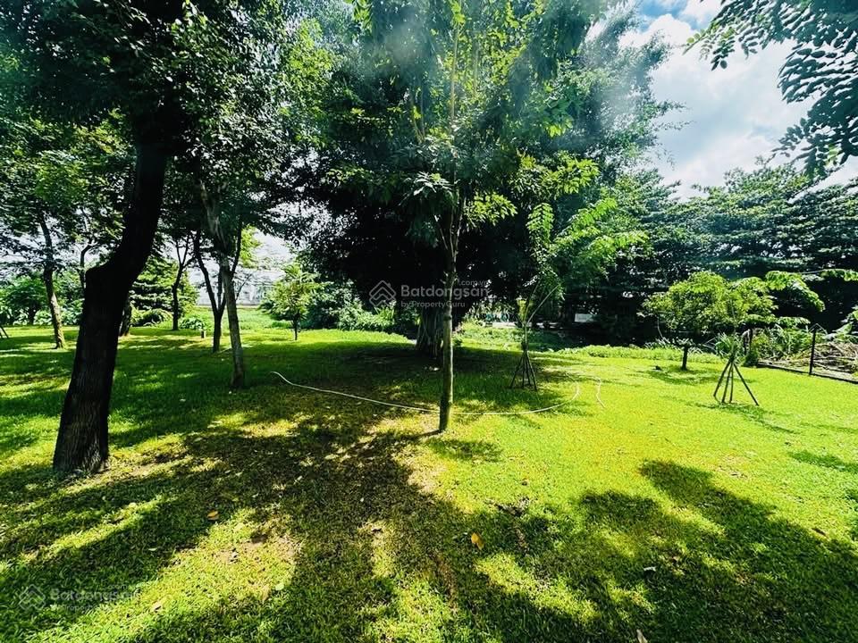 Hi.ế.m!!!căn nhà mới đẹp view sông vòm thuật 4.5x14m, 4 tầng, sân thượng trước sau. giá 9,9 tỷ tl .