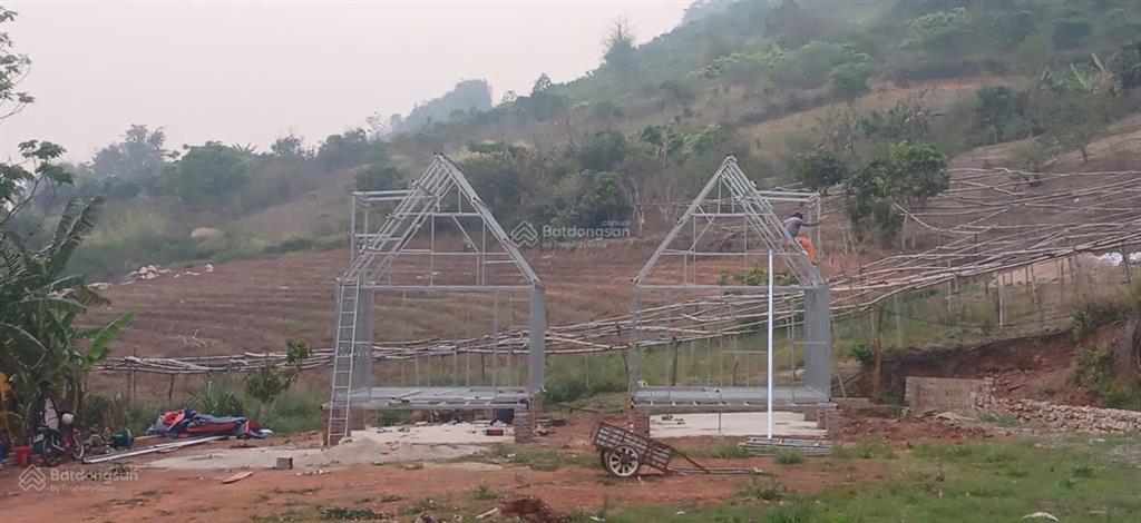 Chính chủ cần bán gấp homestay mộc hồng bản vặt mộc châu sơn la