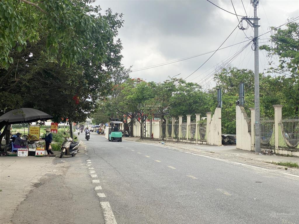 Mai lâm  đông anh  vin cổ loa